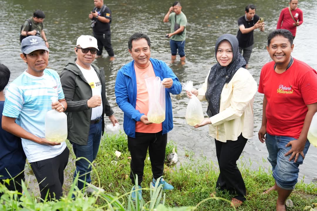 Ketua DPRD Sulbar, Amalia Aras Apresiasi Program Penebaran 100 Ribu Benih Ikan Nila di Kali Mamuju