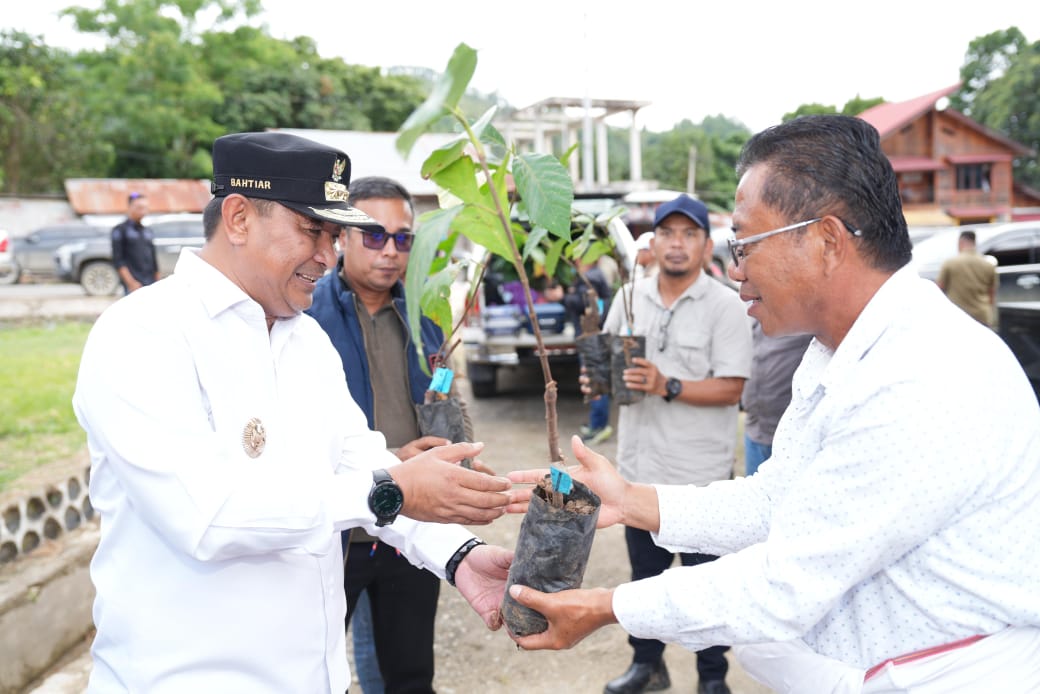 Pemprov Sulbar Tanam Pohon dan Bagikan Bibit Gratis di Tabang, Mamasa