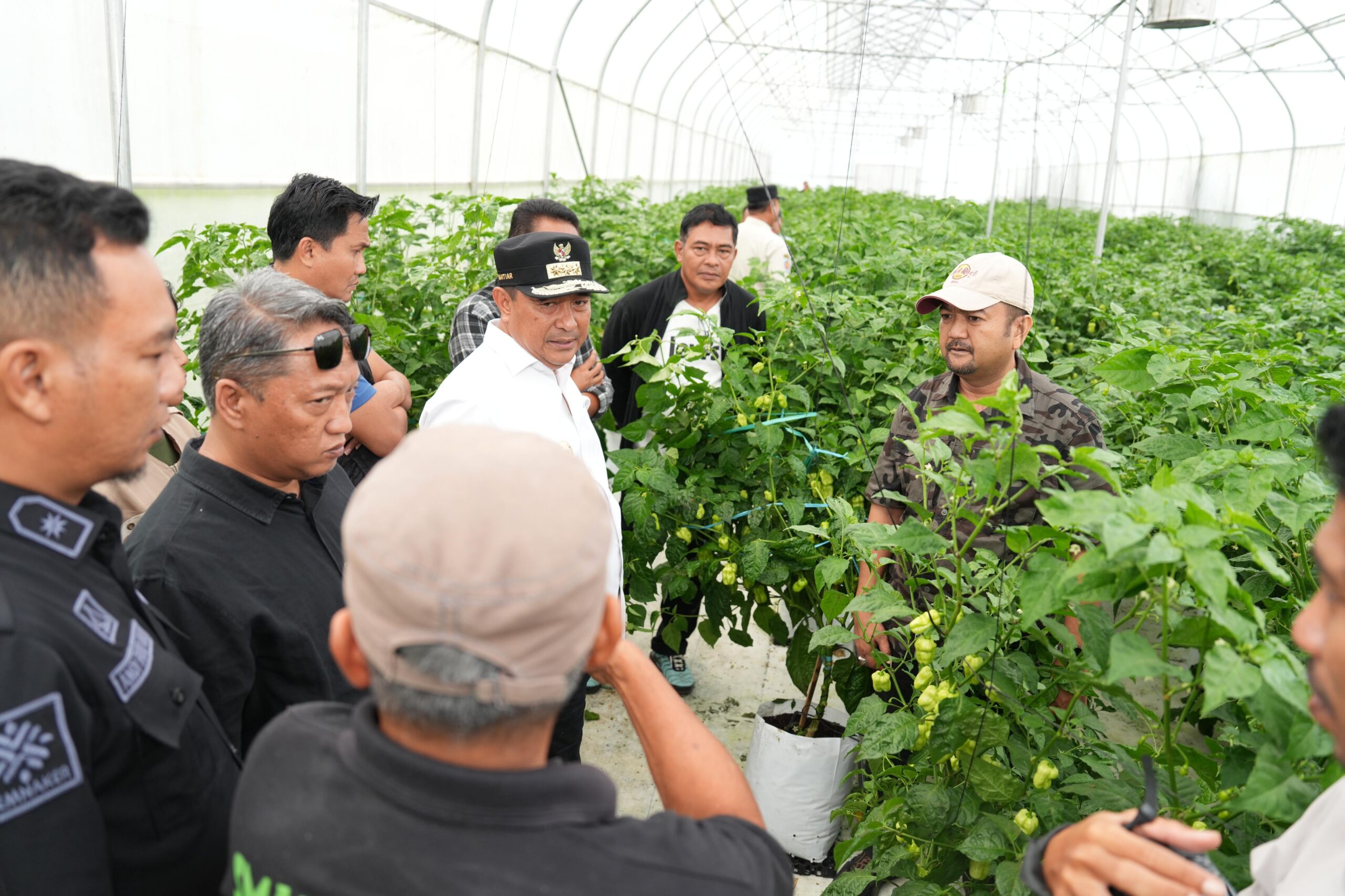 Berkunjung ke Smart Farming Katokkon Toraja, Pemprov Sulbar Kepincut Kembangkan di Sulawesi Barat