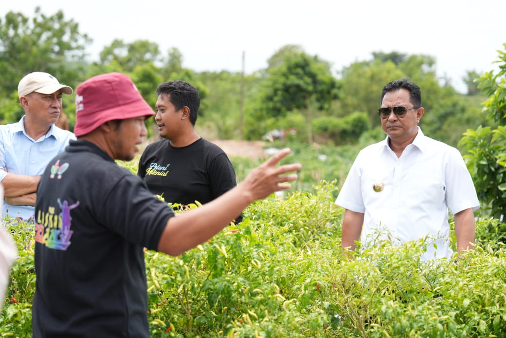 Inspirasi Kawasan Terpadu Cabe Salo Dua Enrekang, Pemprov Sulbar Bakal