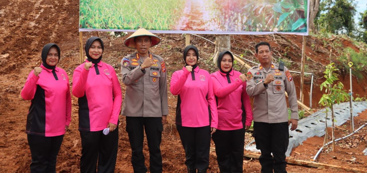 Dukung Ketahanan Pangan, Kapolresta Mamuju Tanam Jagung dan Cabai Bersama Forkopimda