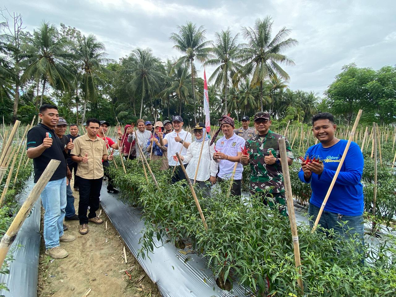 Bukti Nyata Ketahanan Pangan Daerah, Dandim 1418/Mamuju Apresiasi Panen Raya Warga Desa Bonda