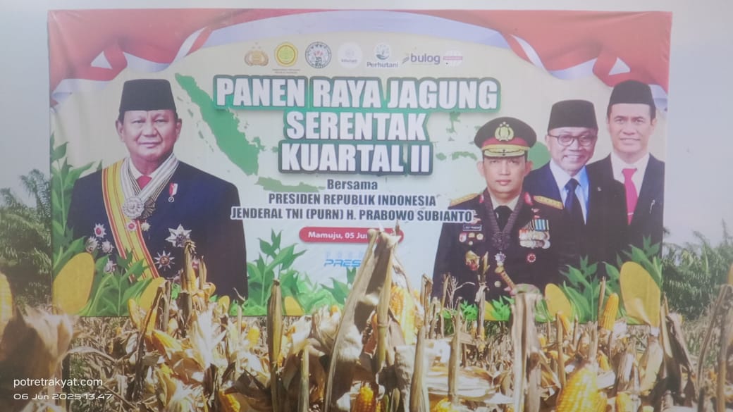 Dukung Program Ketahanan Pangan, PT. MUL, Polri, Pemkab dan Masyarakat Mamuju Panen Raya Jagung Serentak