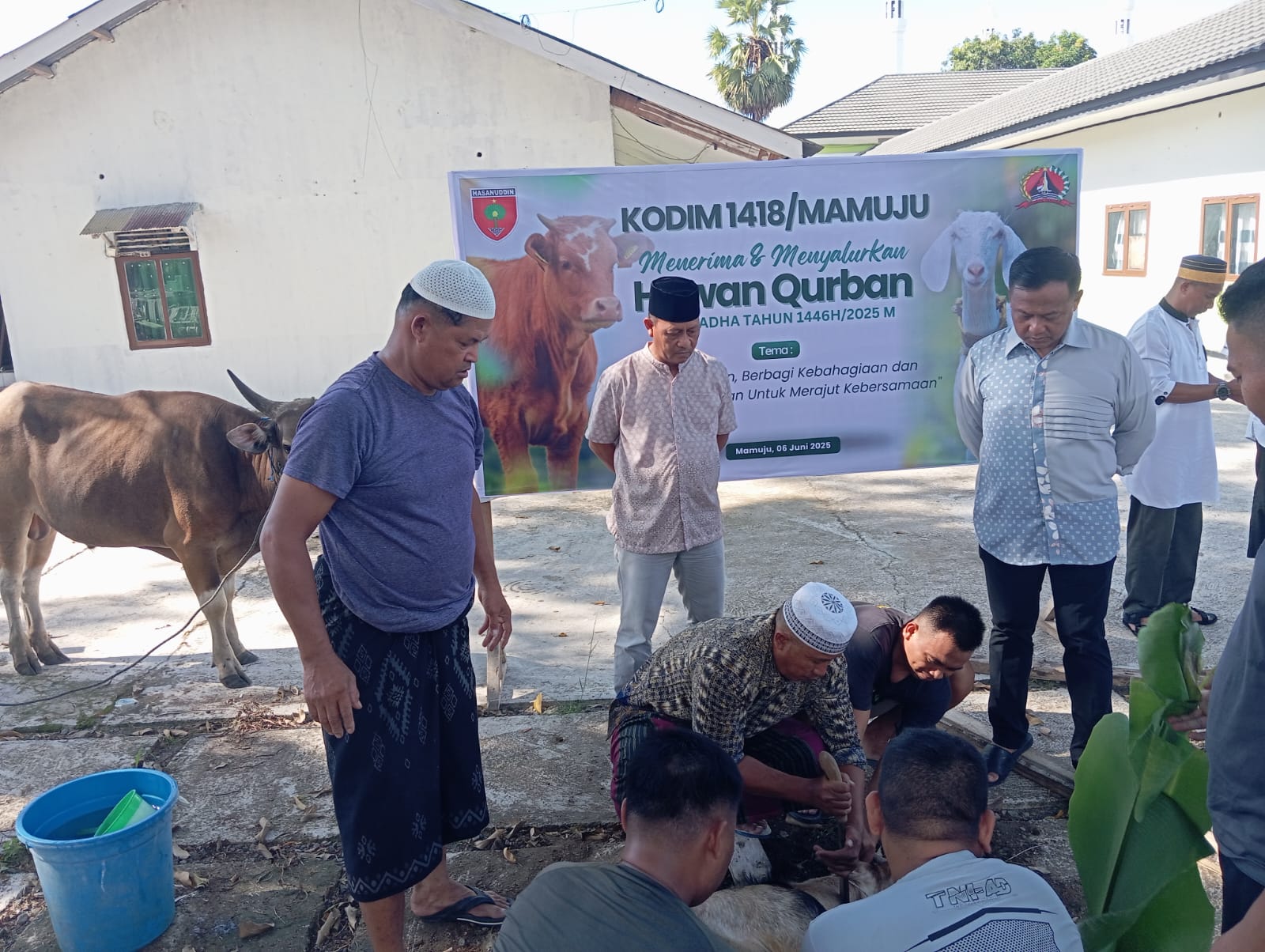 Wujudkan Rasa Syukur, Kodim 1418/Mamuju Laksanakan Penyembelihan Hewan Kurban di Idul Adha 1446 H/2025 M