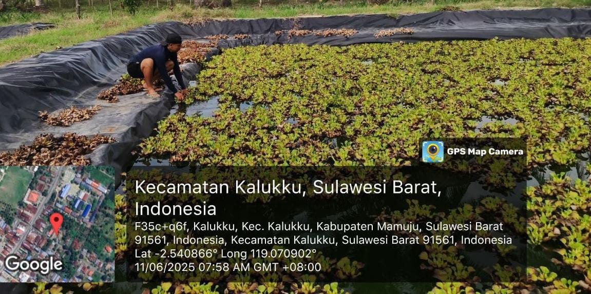 Personel Koramil 1418-03/Kalukku Bersihkan Kolam Ikan dan Lahan Ketahanan Pangan