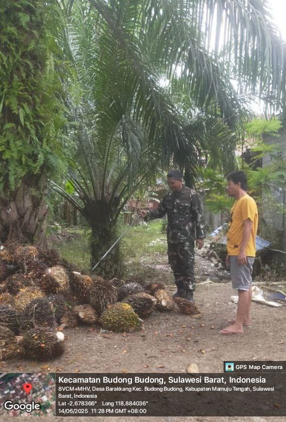 Babinsa Koramil 1418-04/Budong-Budong Aktif Laksanakan Pembinaan Wilayah dan Komsos