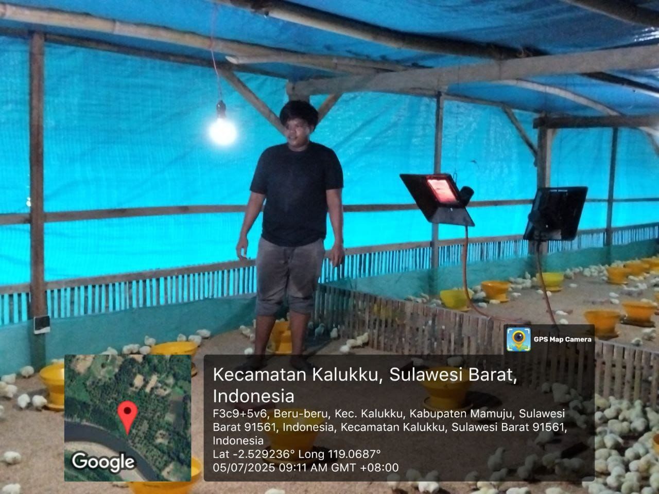 Dukung Program Ketahanan Pangan, Personel Koramil 1418-03/Kalukku Lakukan Perawatan Cabai dan Ayam