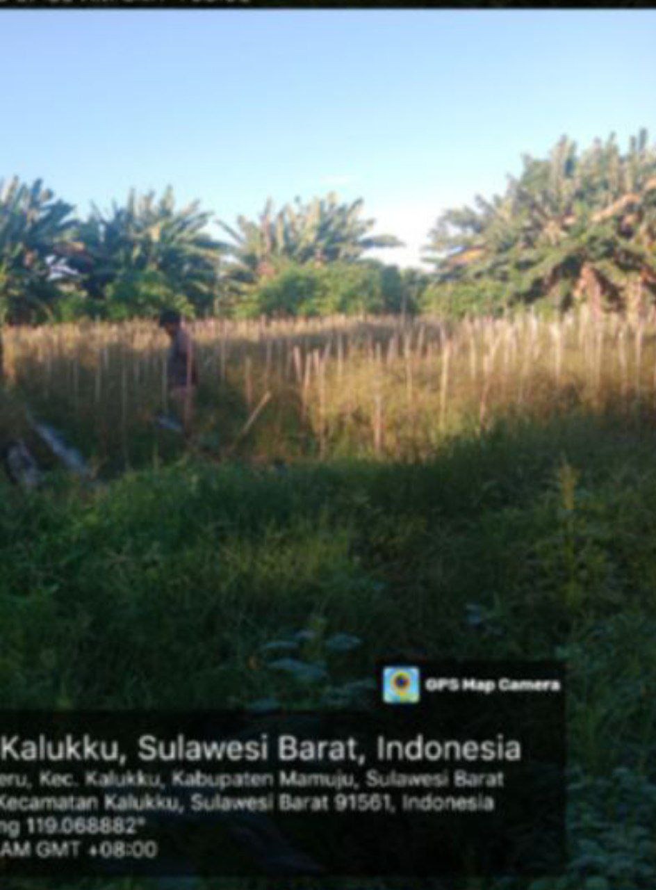 Babinsa Koramil 1418-03/Kalukku Rawat Lahan Ketahanan Pangan
