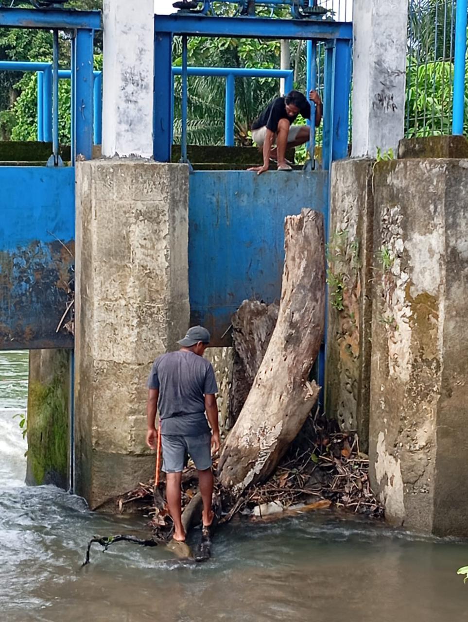 UPTD PSDA Dinas PUPR Sulbar Respon Cepat Selesaikan Masalah Gangguan Irigasi di Bendung Bantalaka Pasangkayu