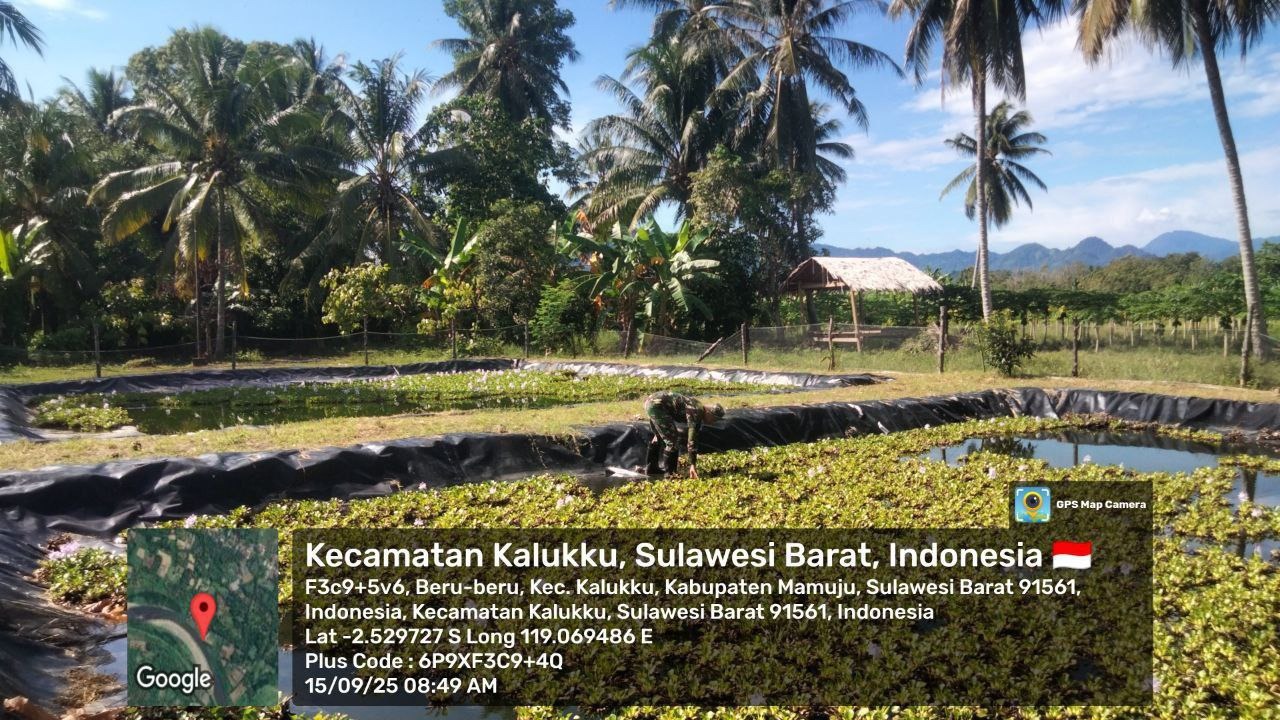 Babinsa Koramil 1418-03/Kalukku Gelar Pembersihan Ketahanan Pangan