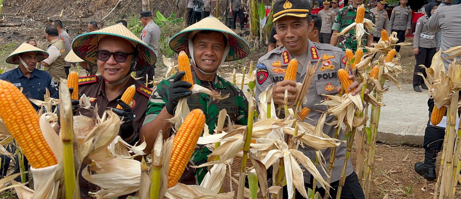 Secara Virtual, Polresta Mamuju Hadiri Panen Raya Jagung Serentak Kuartal III Tahun 2025