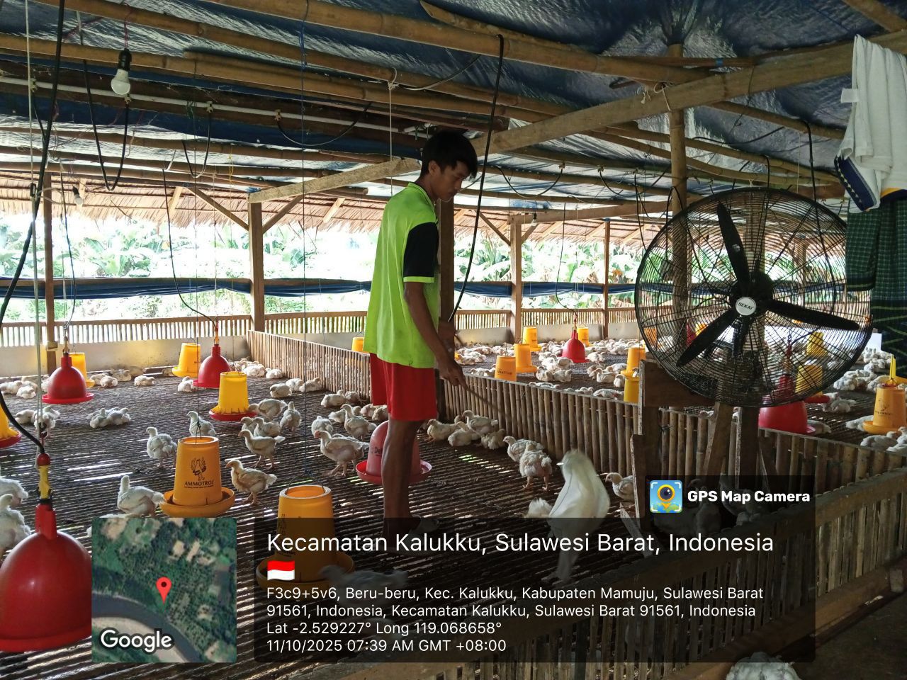 Koramil 1418-03/Kalukku Laksanakan Pemeliharaan Ternak dan Tanaman Produktif. Wujudkan Kemandirian Pangan