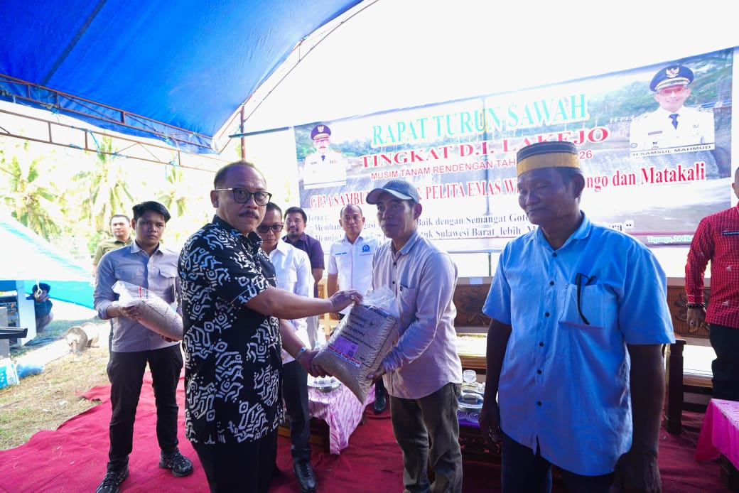 Turun Sawah di Tapango, Gubernur SDK Tegaskan Pentingnya Keseimbangan Hulu-Hilir Pertanian