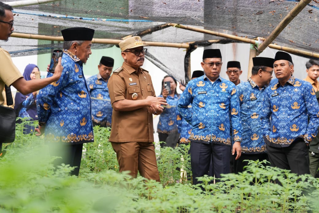 Gubernur Sulbar Tinjau Pembibitan Komoditas Pangan Dinas Ketapang, Siap Dibagikan ke Masyarakat